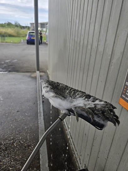 Eléphant Bleu, Station de Lavage à Longwy
