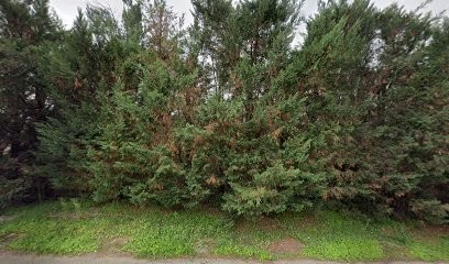 Association Quotidien Services, Station de Lavage au Péage-de-Roussillon