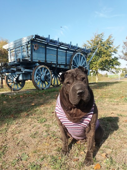 Mouss-Auto, Station de Lavage à Chaumont-en-Vexin