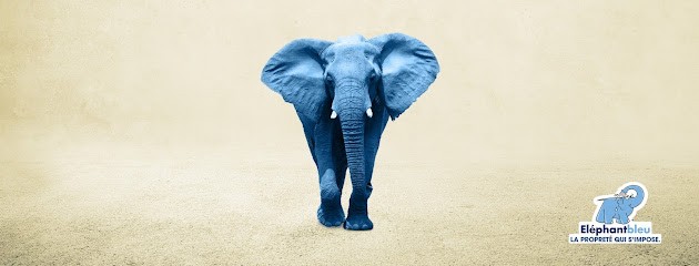 ELEPHANT BLEU, Station de Lavage à Tonnay-Charente