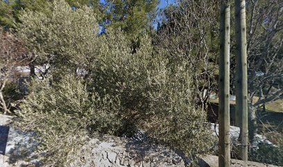 A.L Cleaning, Station de Lavage à Marseille 13