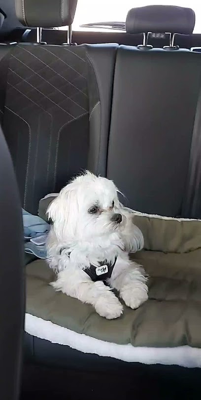 LA BALEINE BLEUE Lavage Automobile Haute Pression et Rouleaux Automatiques Washtec, Station de Lavage à Thouars