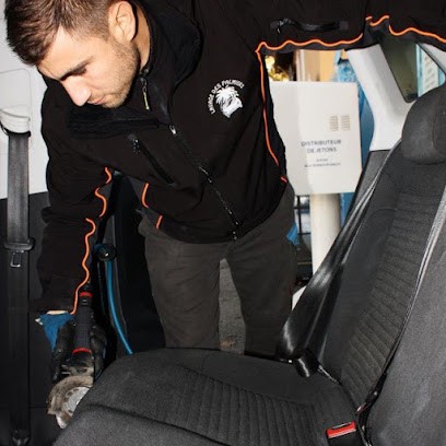 Lavage des palmiers, Station de Lavage à Hyères