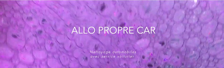 Lavage Automobile Allo Propre Car, Station de Lavage à Rungis