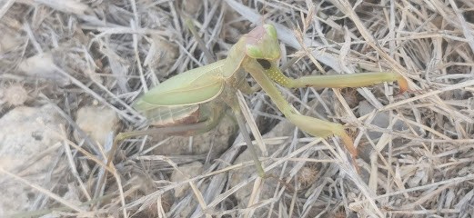 GT Turismo 34, Station de Lavage à Portiragnes